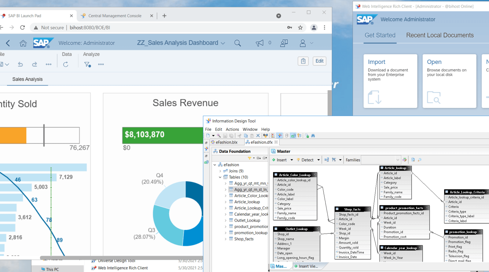 overview of sap business objects