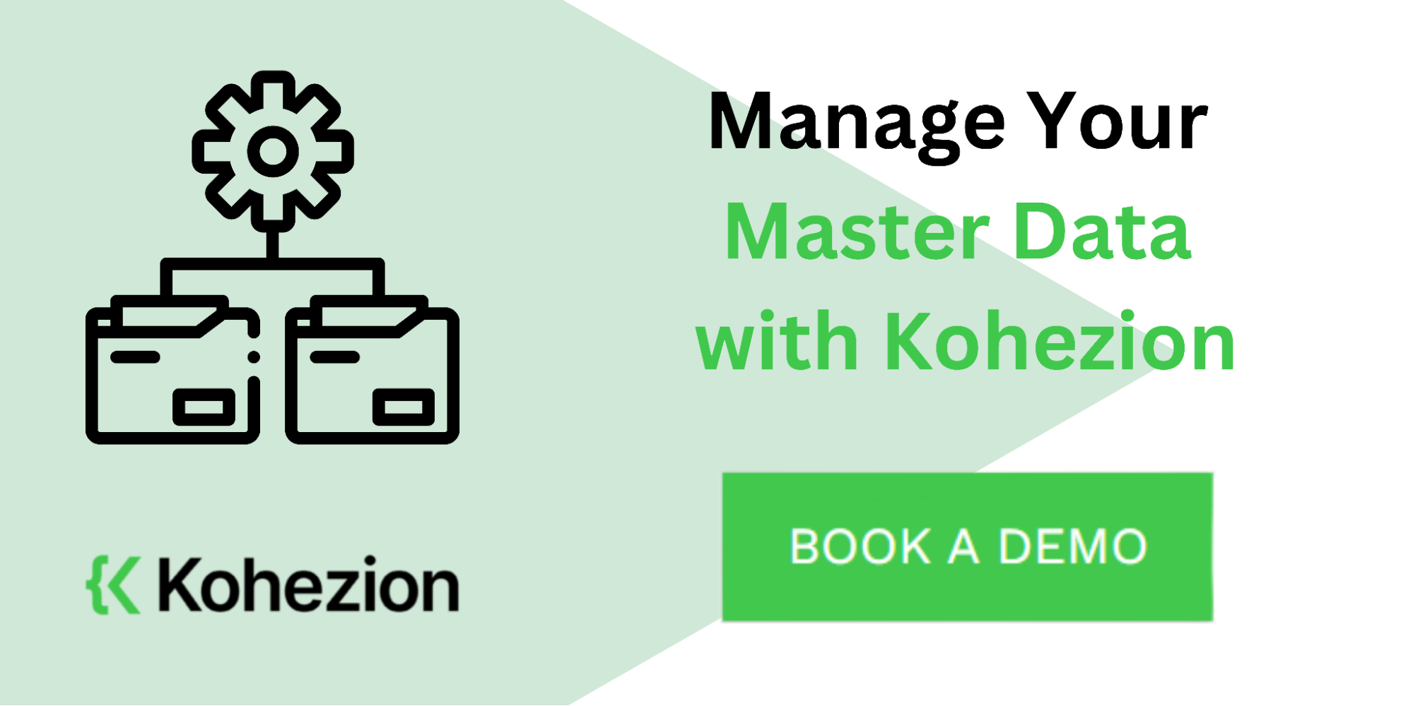 manage your master data with kohezion