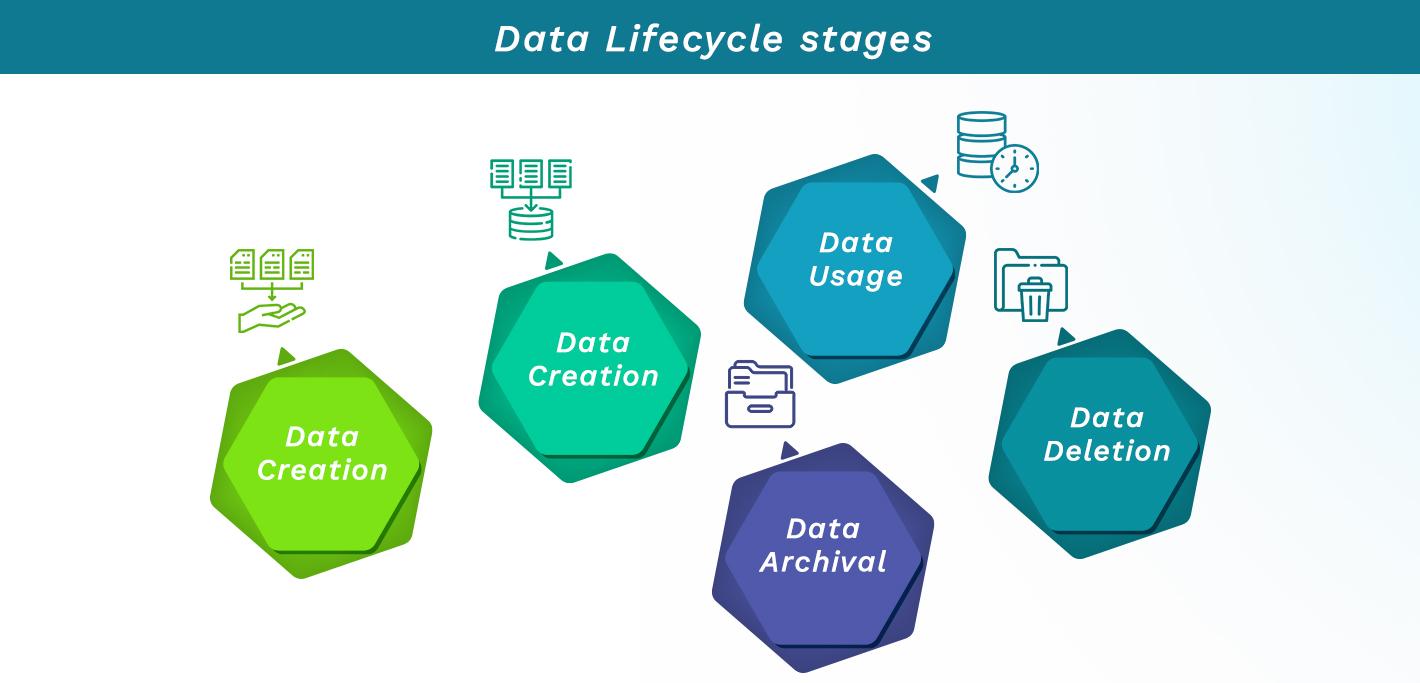 Data Lifecycle_stages