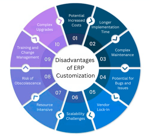 disadvantages of erp customization