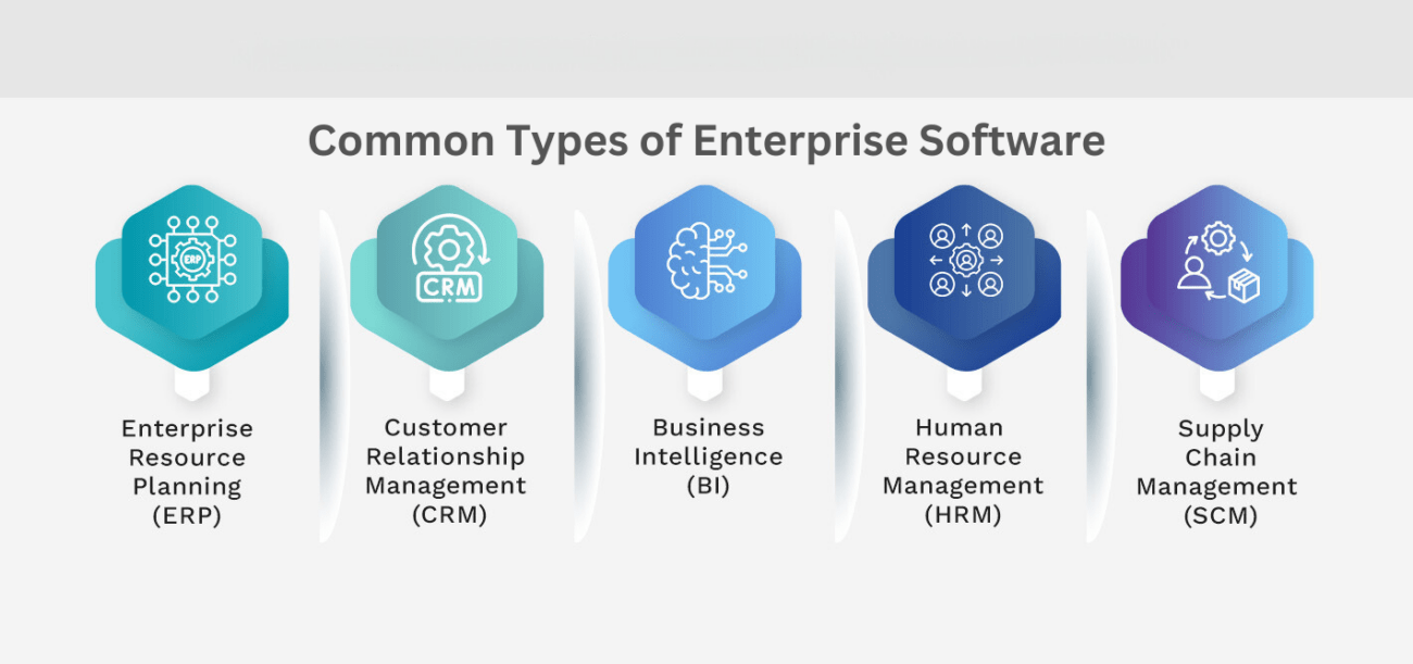 Common Types of Enterprise Software