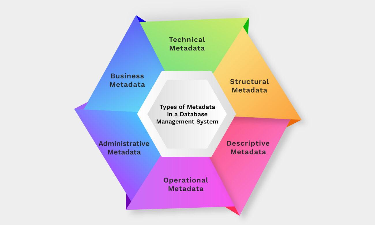 Types of Metadata in a Database Management System