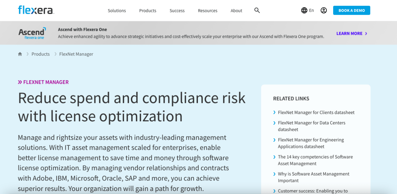  flexnet manager enterprise-grade license management tool 